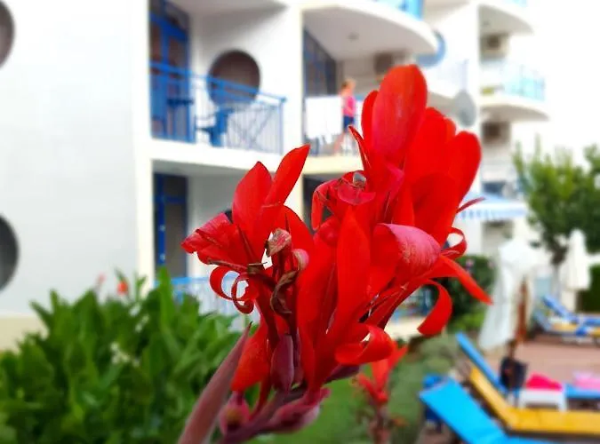 Marina - Vega Village * Sveti Vlas